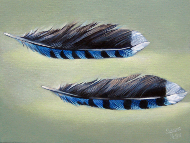 Contemplation: Blue Jay Feathers, by Susanna Pantas